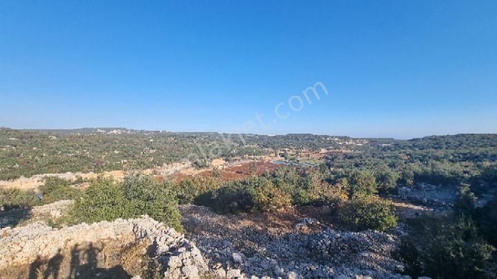 Silifke Canbazlı'da 42.6 Dönüm Satılık Arazi - Görsel 14