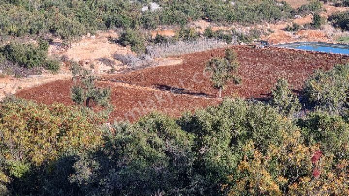 Silifke Canbazlı'da 42.6 Dönüm Satılık Arazi - Görsel 9
