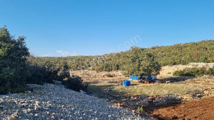 Silifke Canbazlı'da 42.6 Dönüm Satılık Arazi - Görsel 4