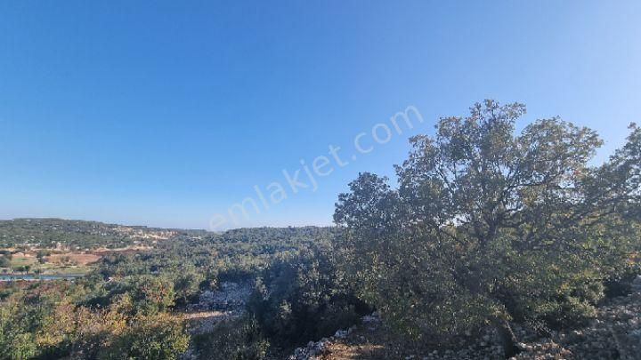 Silifke Canbazlı'da 42.6 Dönüm Satılık Arazi - Görsel 12