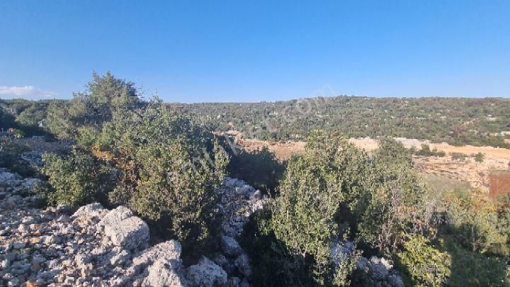 Silifke Canbazlı'da 42.6 Dönüm Satılık Arazi - Görsel 5