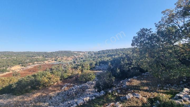 Silifke Canbazlı'da 42.6 Dönüm Satılık Arazi - Görsel 11
