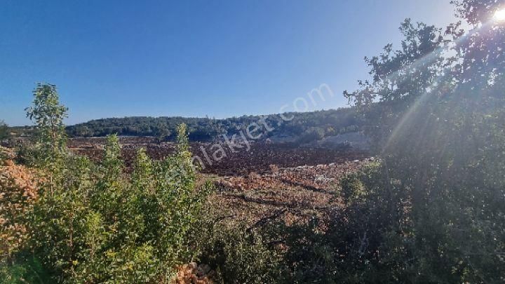 Silifke Canbazlı'da 42.6 Dönüm Satılık Arazi - Görsel 3