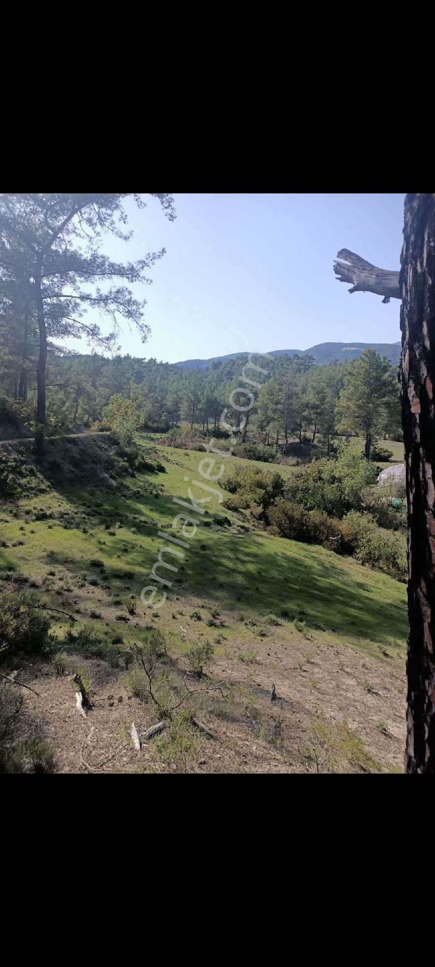 Kaş'a En Yakın En Ucuz - Görsel 13