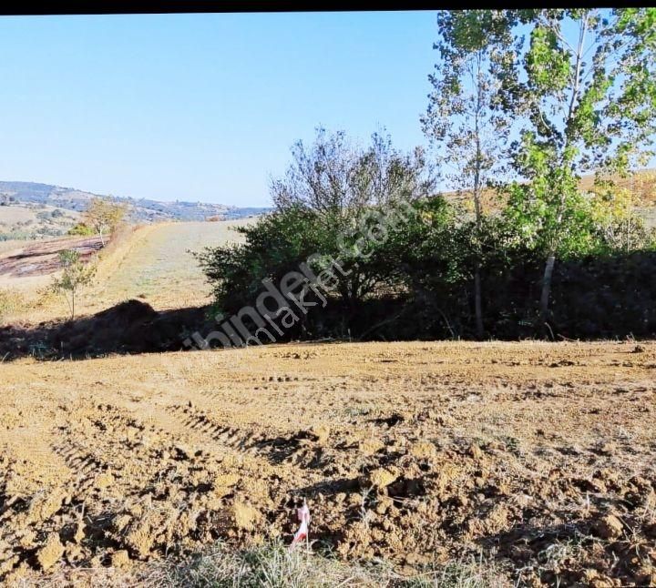 Kocaeli Kandıra Topluca Köy Üzerinde Satılık Köşe Parsel - Görsel 5