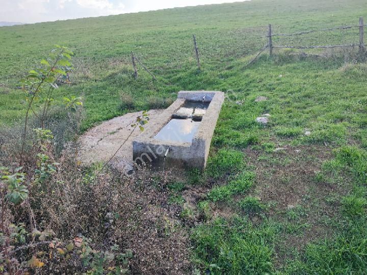 Kandıra Topluca Satılık Tarla KOCAELİ KANDIRA TOPLUCA KÖY ÜZERİNDE SATILIK KÖŞE PARSEL 