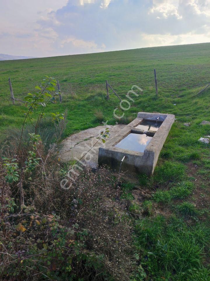 Kocaeli Kandıra Topluca Köy Üzerinde Satılık Köşe Parsel - Görsel 15