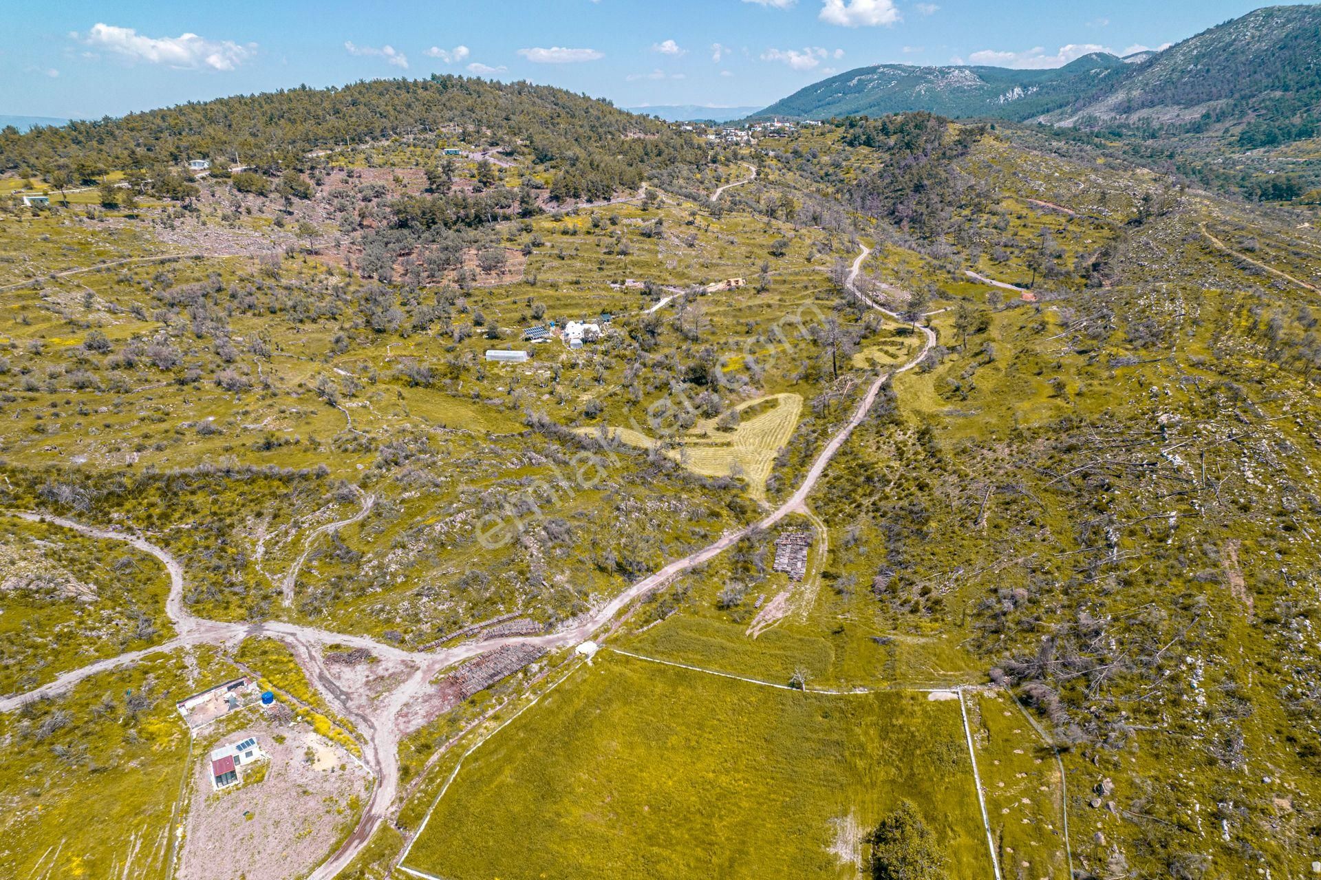 Bodrum Mumcular Da Resmi Yolu Olan Satılık 860 M2 Tarla - Görsel 4