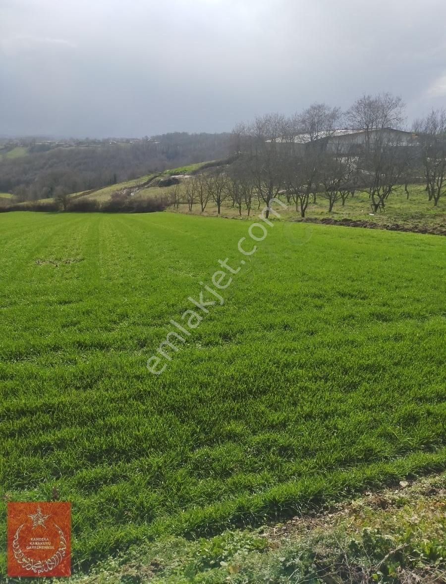 Kandıra Hidirlar Köyünde Satılık İmarlı Arazi - Görsel 2