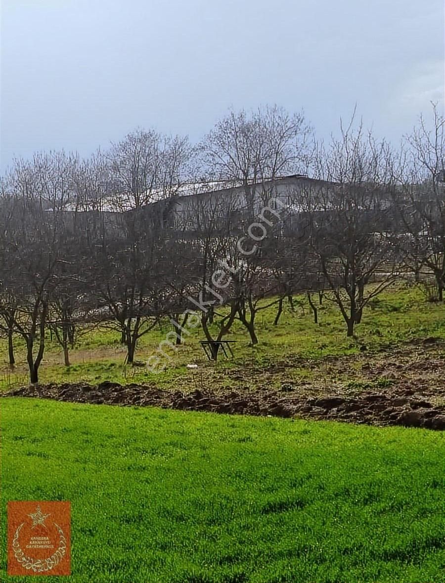 Kandıra Hidirlar Köyünde Satılık İmarlı Arazi - Görsel 11