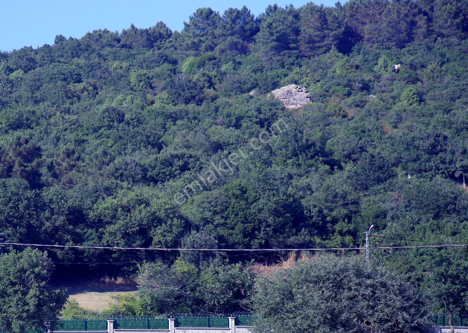 Çatalca Gökçeali'nin En Güzel Ve Gözde Yerinde Orman İçinde - Görsel 2