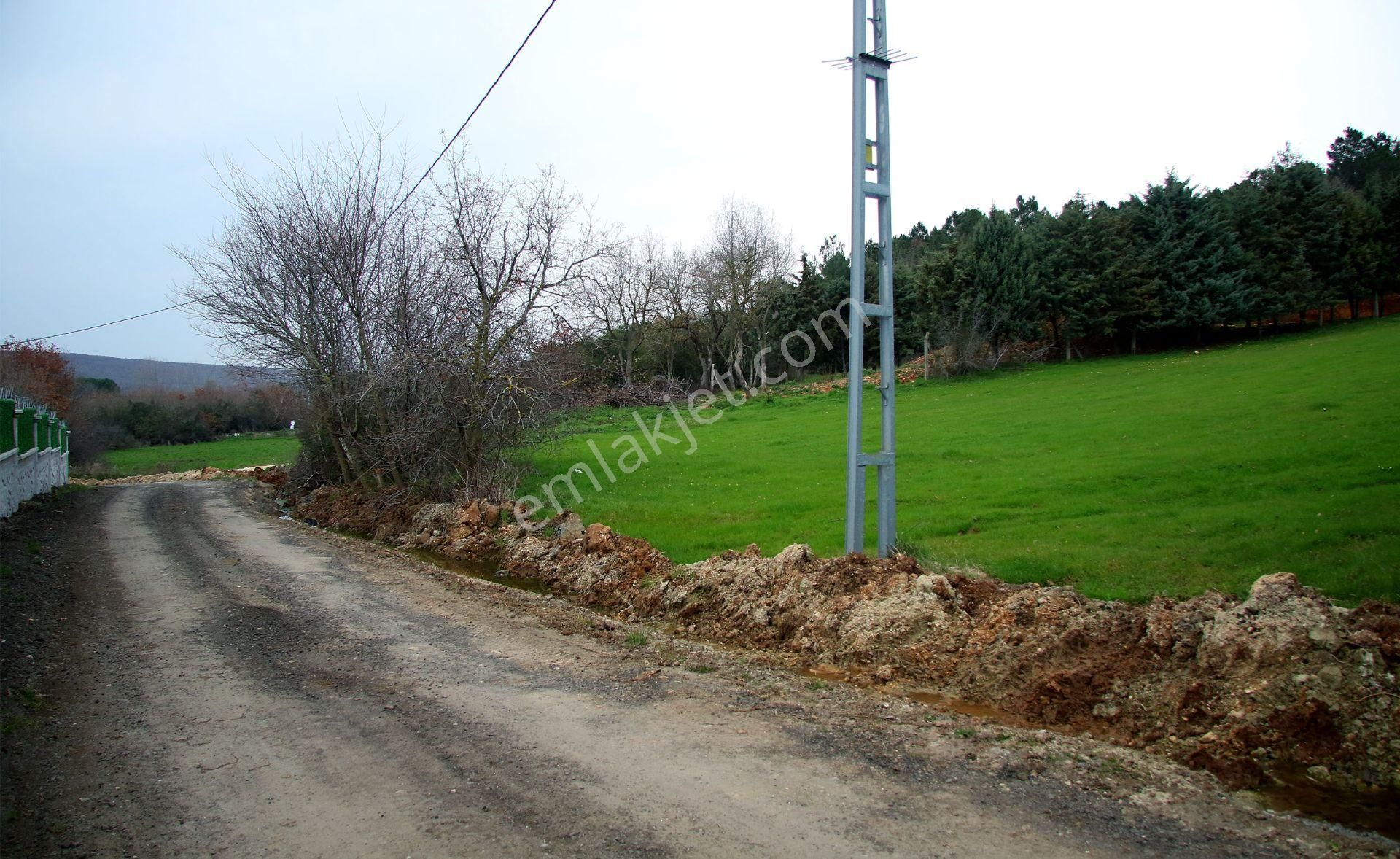 Çatalca Gökçeali'nin En Güzel Ve Gözde Yerinde Orman İçinde - Görsel 13
