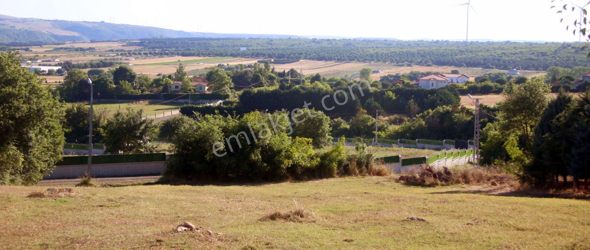 Çatalca Gökçeali'nin En Güzel Ve Gözde Yerinde Orman İçinde - Görsel 9