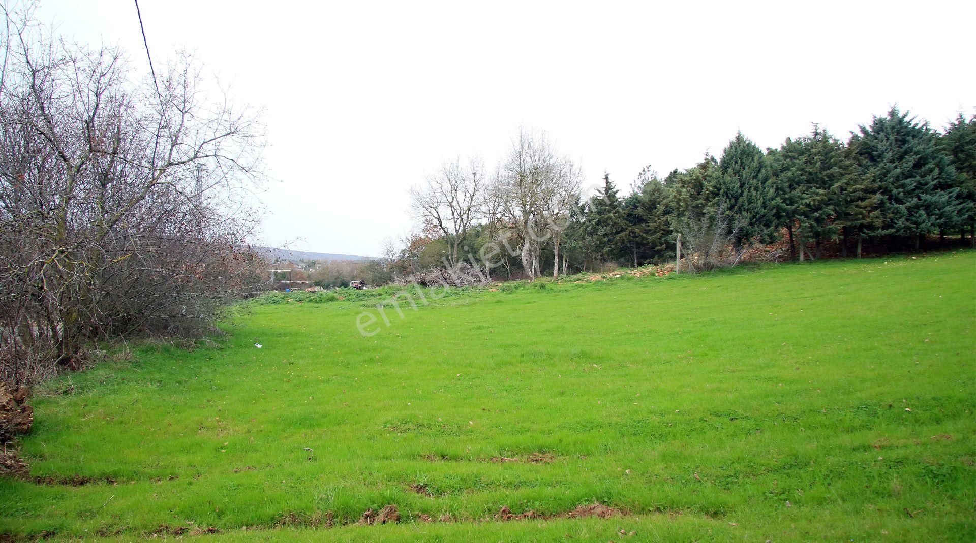 Çatalca Gökçeali'nin En Güzel Ve Gözde Yerinde Orman İçinde - Görsel 5