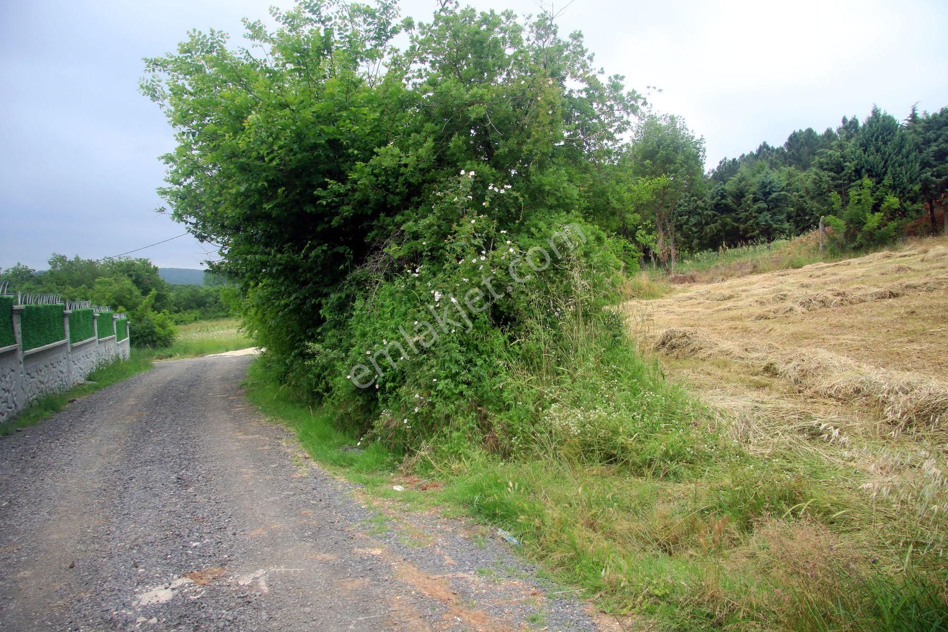 Çatalca Gökçeali'nin En Güzel Ve Gözde Yerinde Orman İçinde - Görsel 11