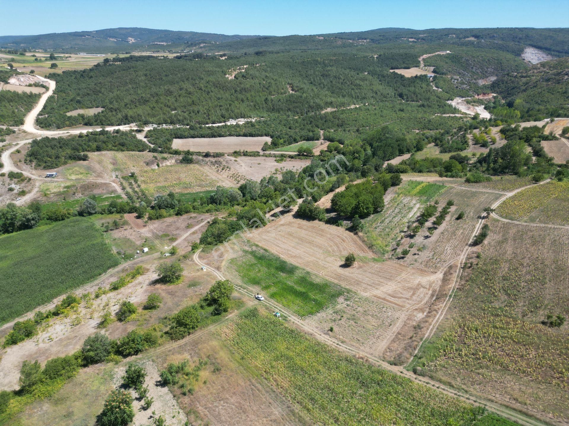 Bursa Yenişehir Çiçeközü Mahallesin'de Satılık Tarla - Görsel 9