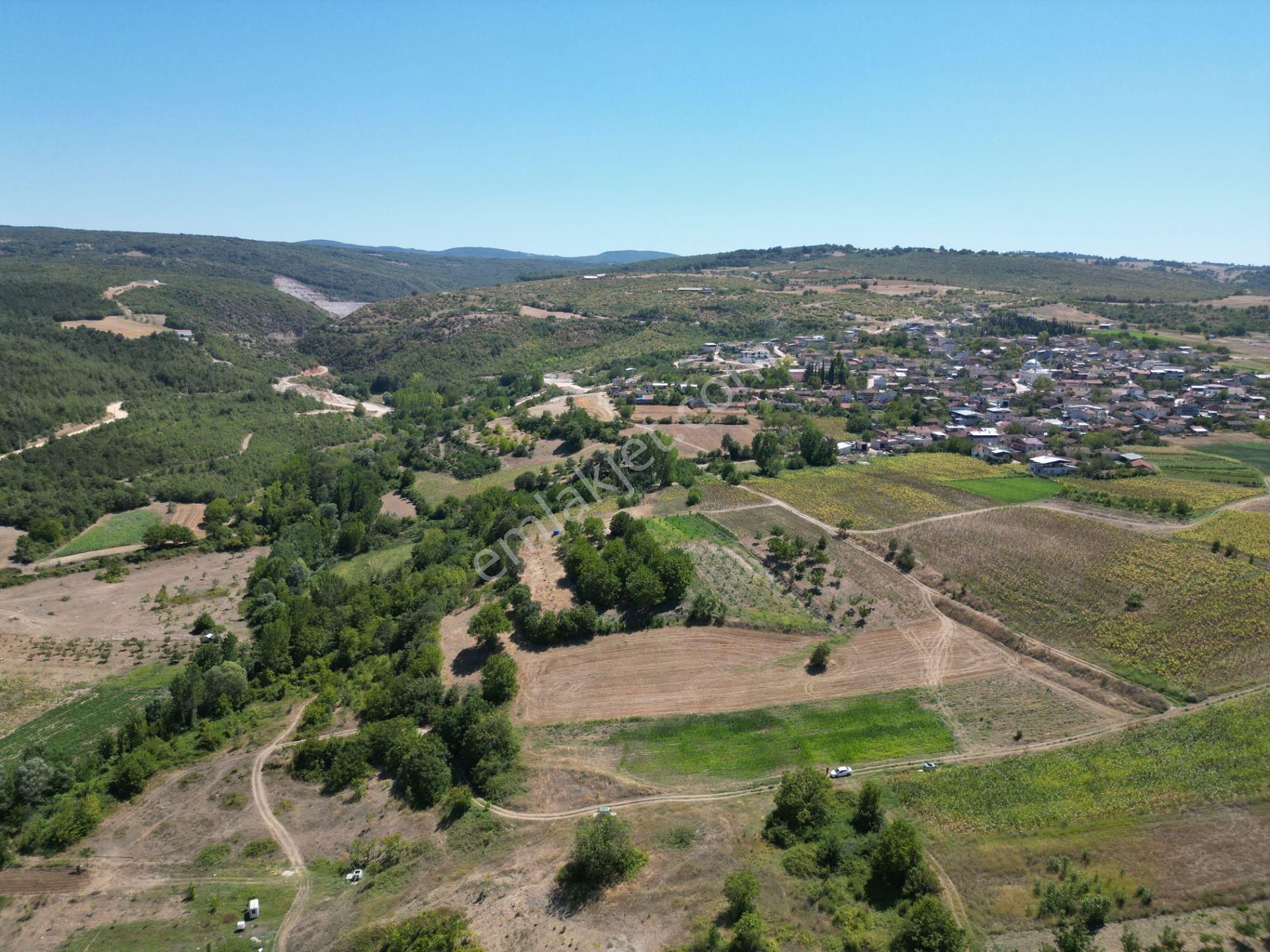 Bursa Yenişehir Çiçeközü Mahallesin'de Satılık Tarla - Görsel 6