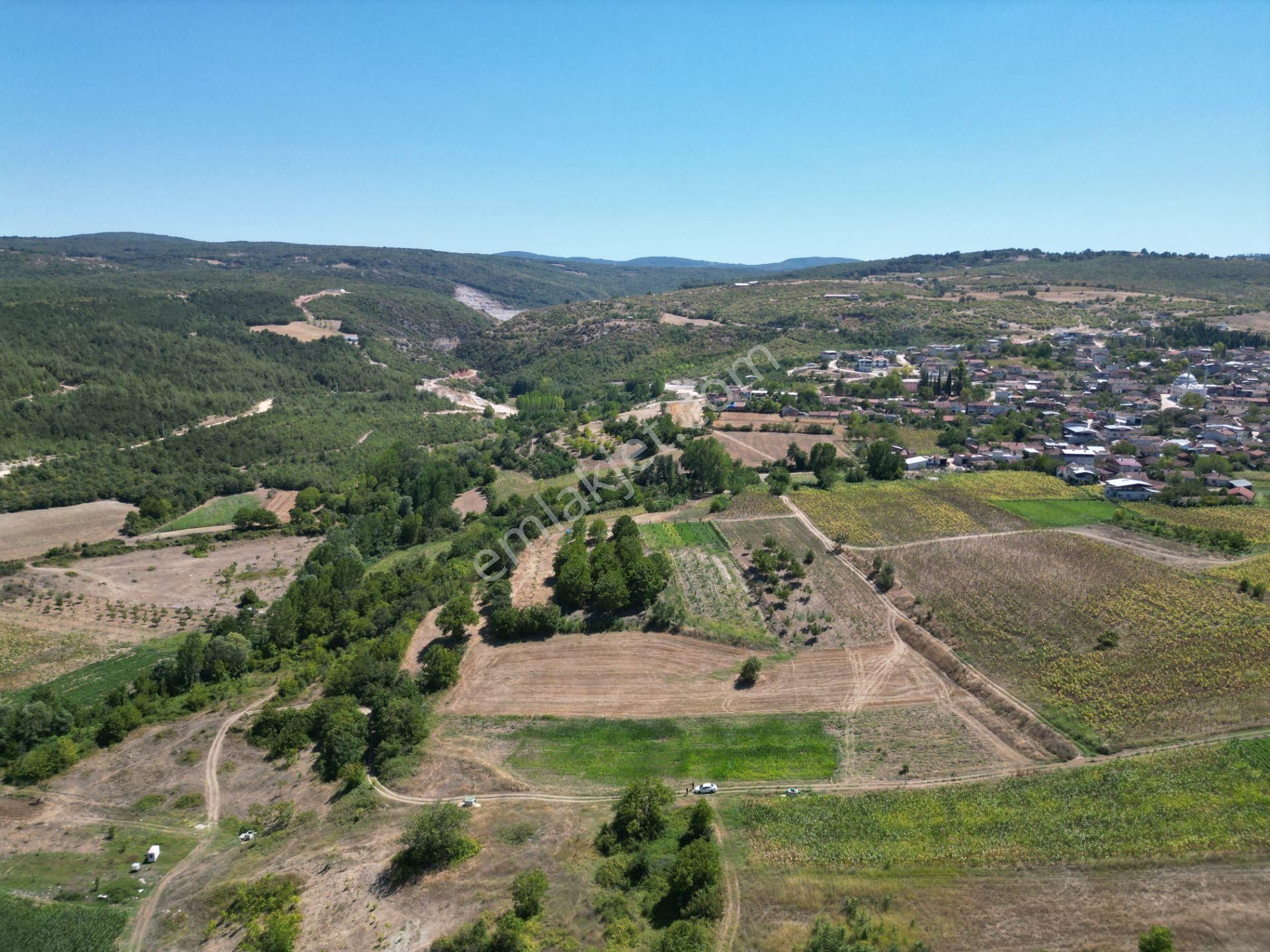 Bursa Yenişehir Çiçeközü Mahallesin'de Satılık Tarla - Görsel 7