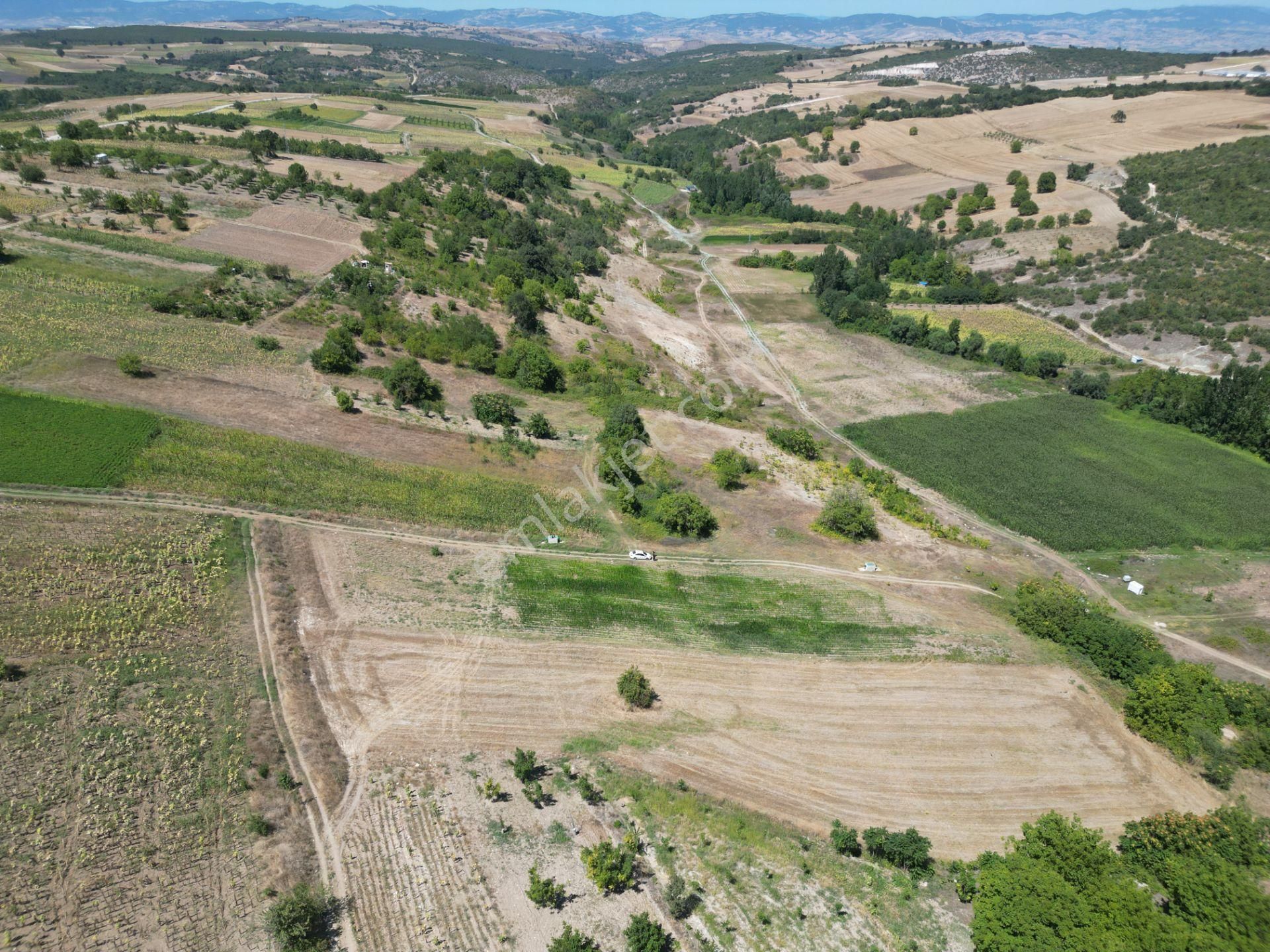 Bursa Yenişehir Çiçeközü Mahallesin'de Satılık Tarla - Görsel 14