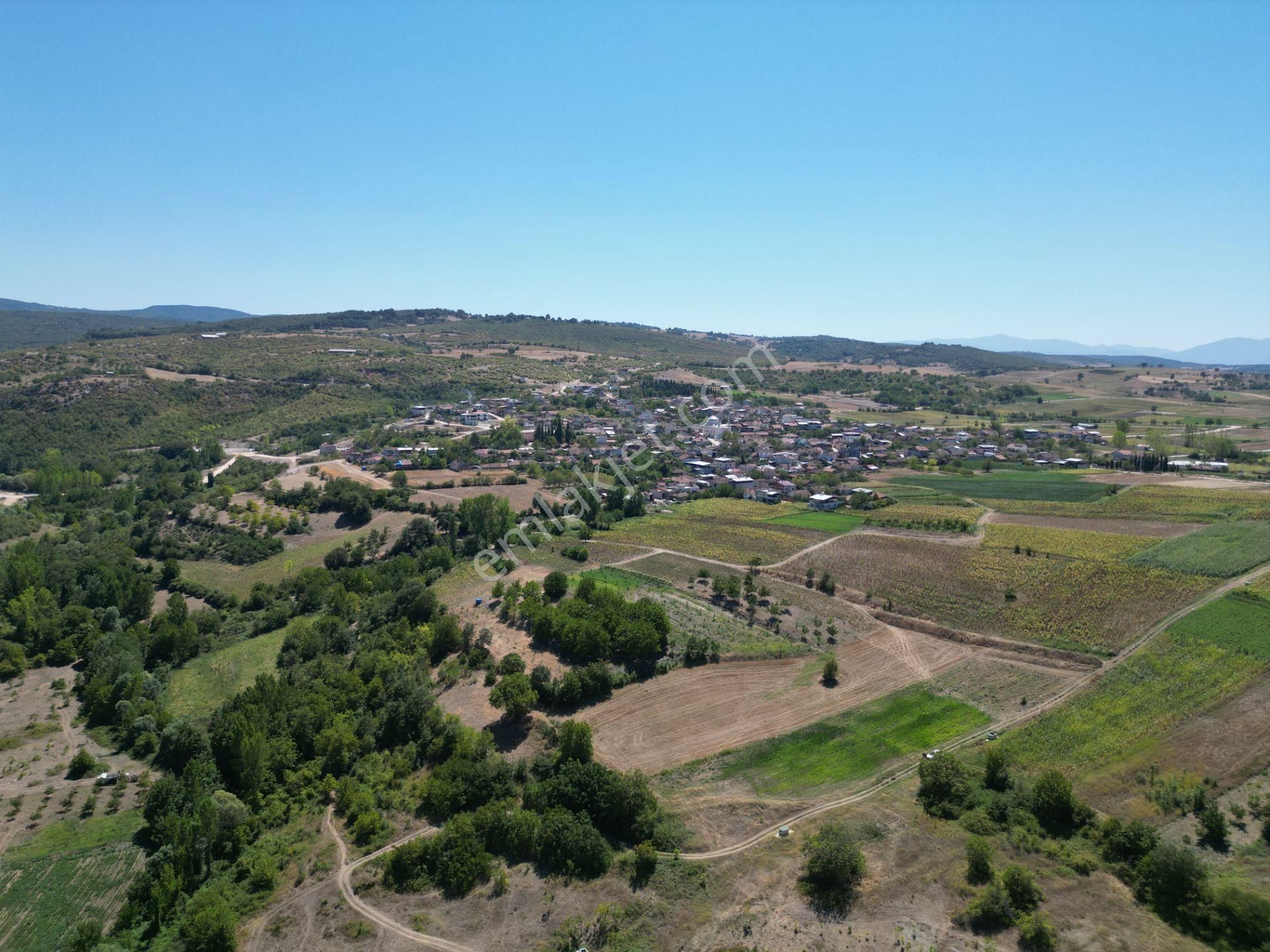 Bursa Yenişehir Çiçeközü Mahallesin'de Satılık Tarla - Görsel 3
