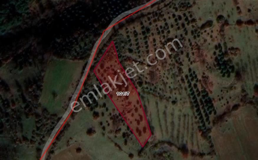 Balıkesir Örenharman Köyü Net 4.387. M2 Müstakil Parsel