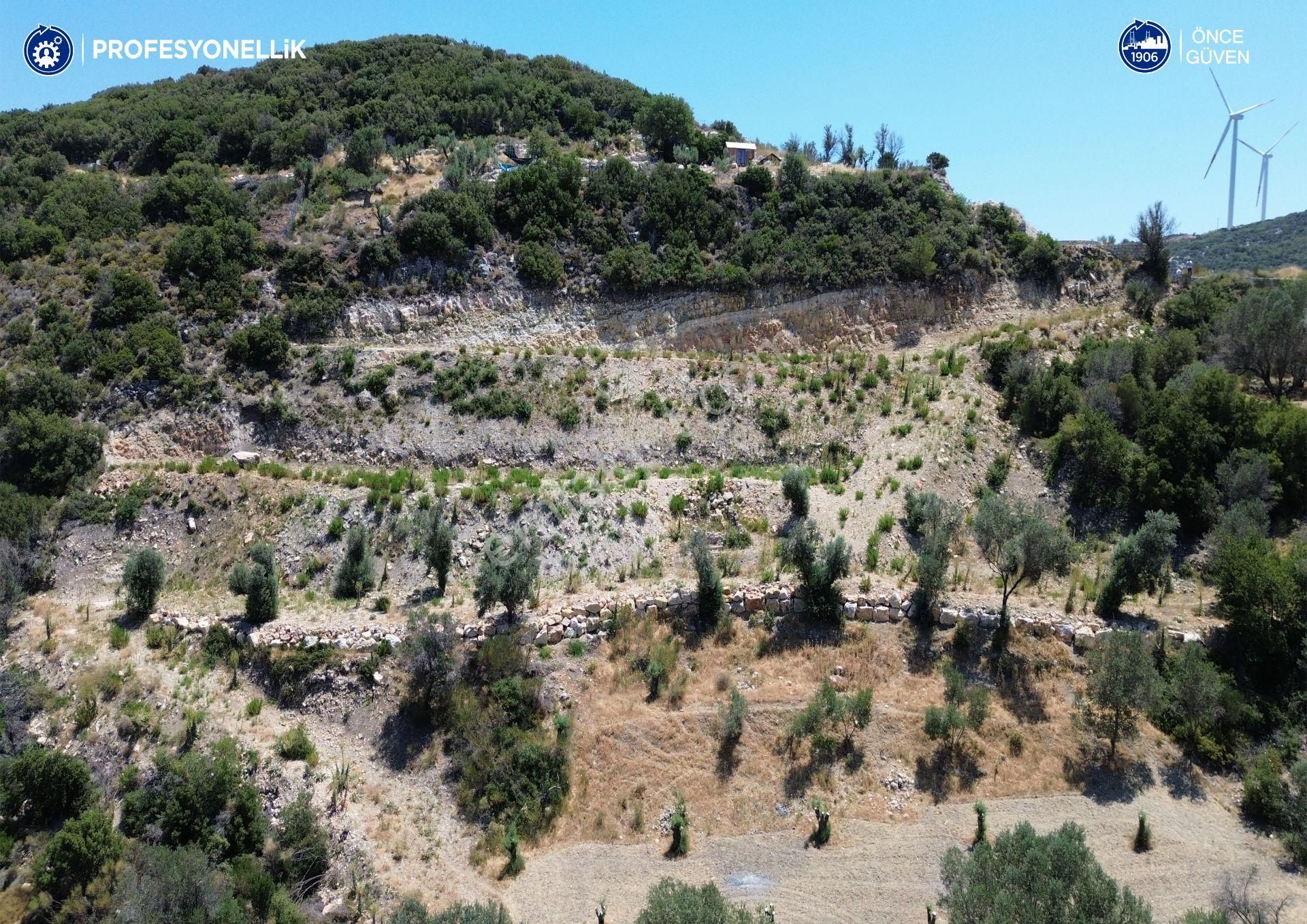 Karaburun Eğlenhoca'da Deniz Manzaralı Satılık Arazi - Görsel 8