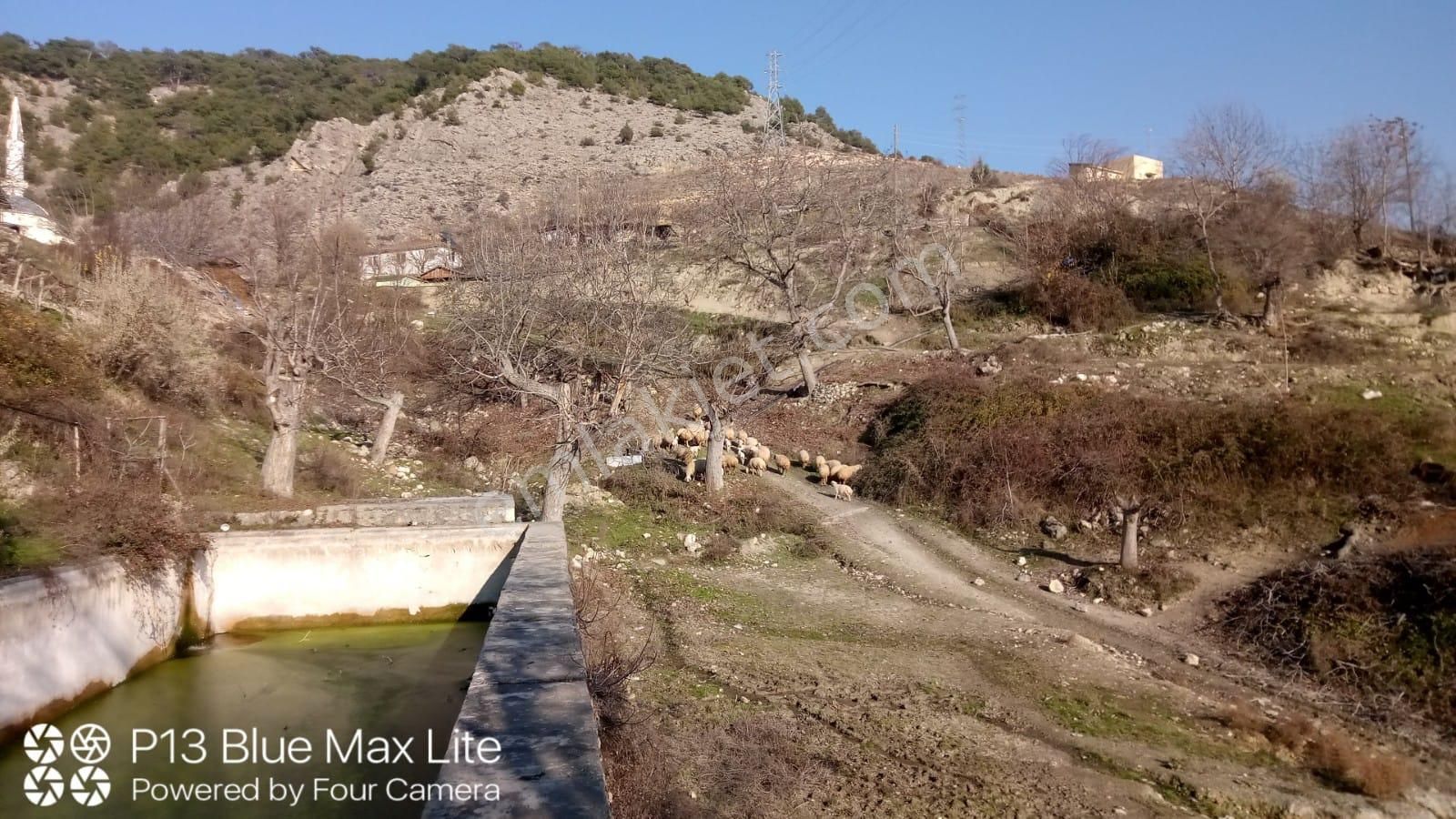 Amasya Merkez Yuvacık Köyü Satılık Tarla YARDIMCI EMLAKTAN TOKİ ÜZERİNDE 502 M2 BAHÇE 