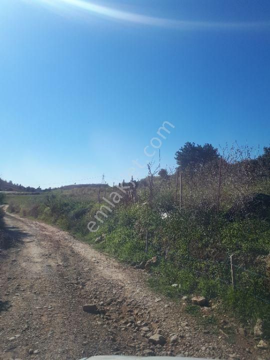 Manavgat Aşağıışıklar Satılık Tarla manavgat aşağı işiklada yerlesim yerinde yolu suyu elektrigi olan ev yapmaya yada sera yapmaya uygun