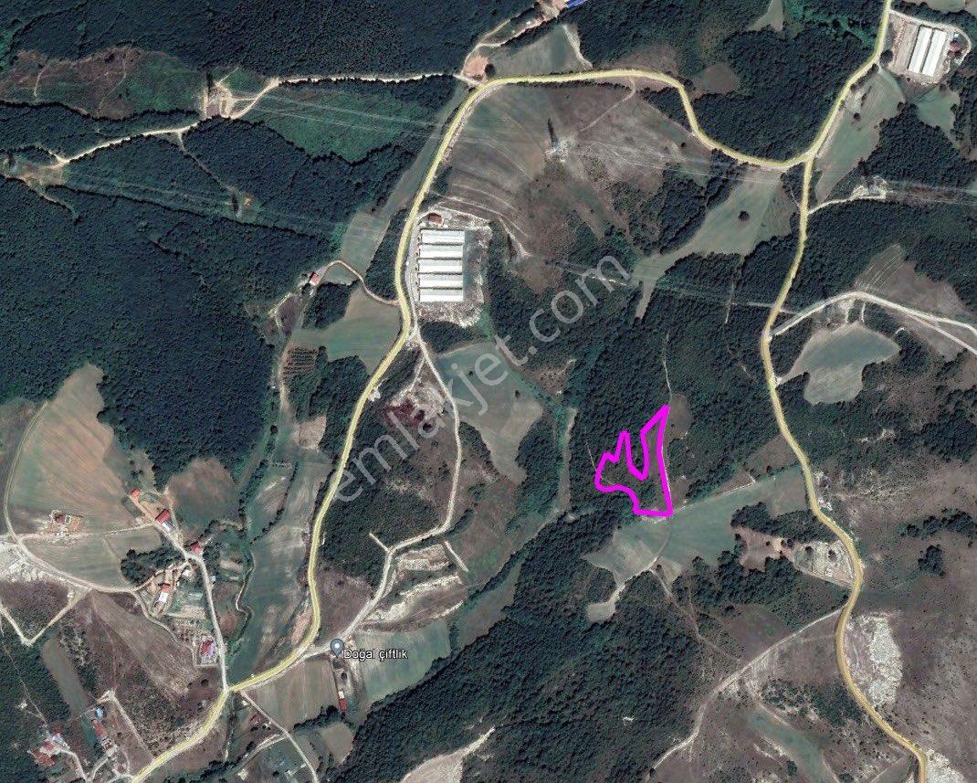 Derince Çavuşluda 7140m2 Yola 165m Cepheli - Görsel 30