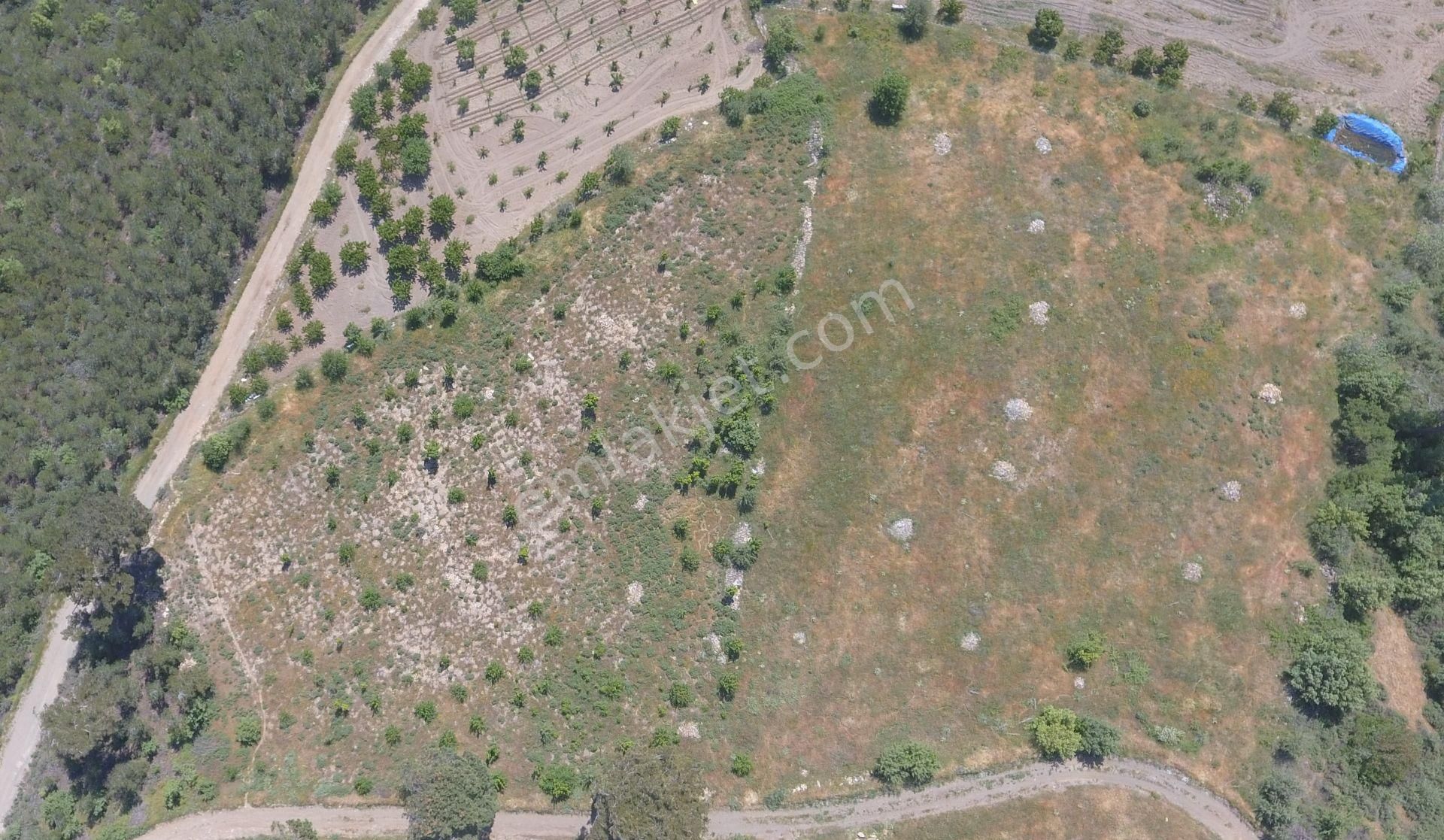 İzmir Torbalı Gold Emlaktan Çınardibinde Satılık Meyve Bahçesi - Görsel 2