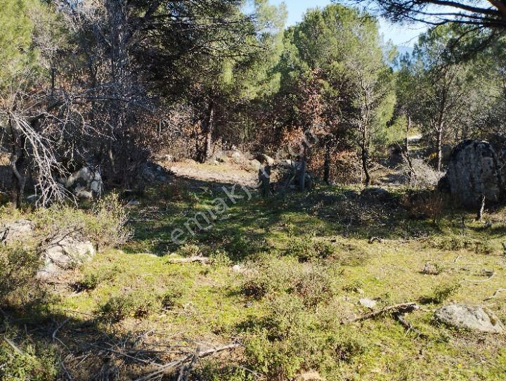 Kozak Yaylasına Sahibinden Satılık Bağ - Görsel 4