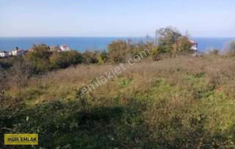 (2 )panaromik Full Deniz Manzar 2.5 Dönüm Belediye Mücavir Alanında - Görsel 2