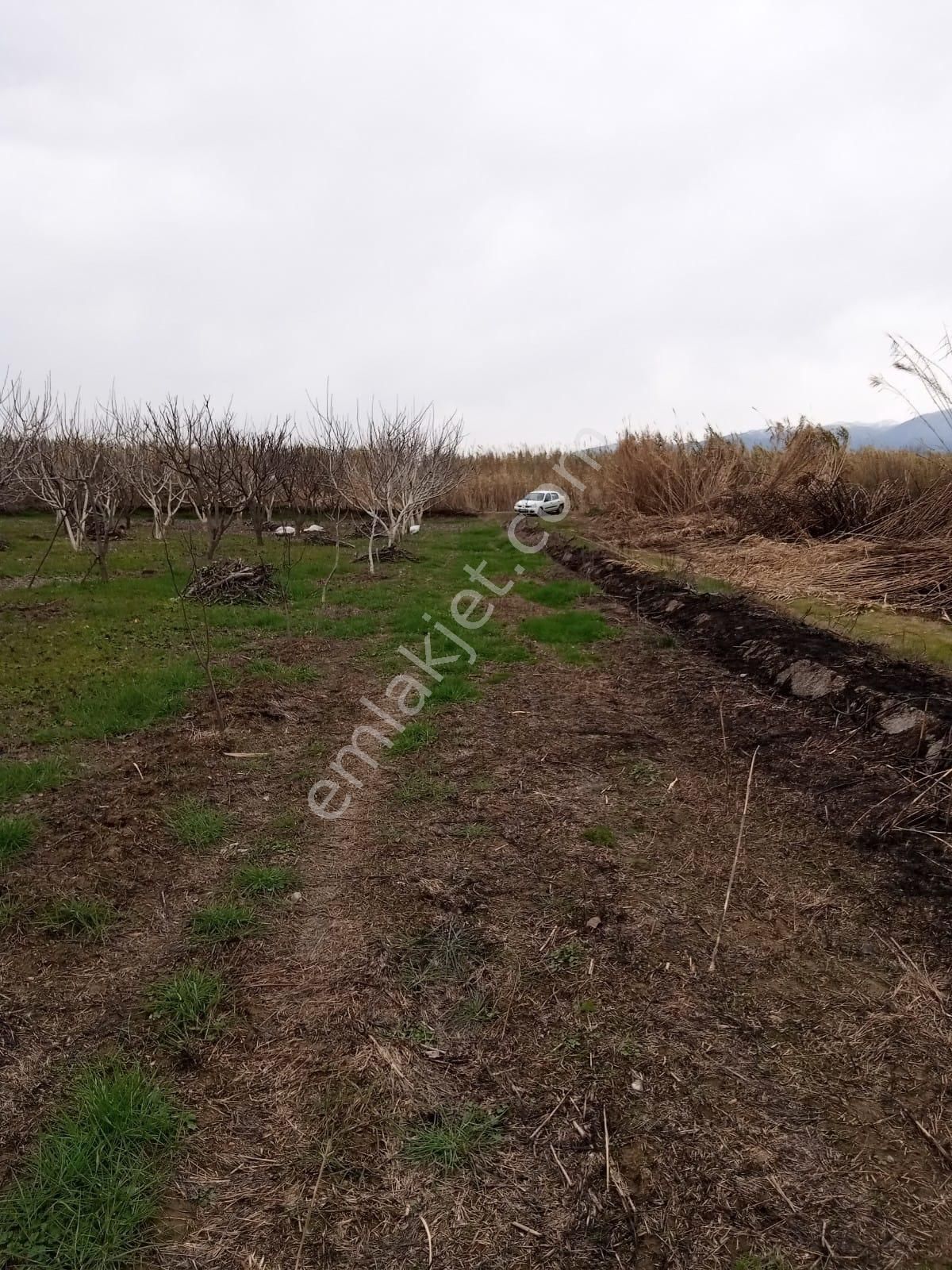 Sultanhisar Atçada Satılık - Görsel 4