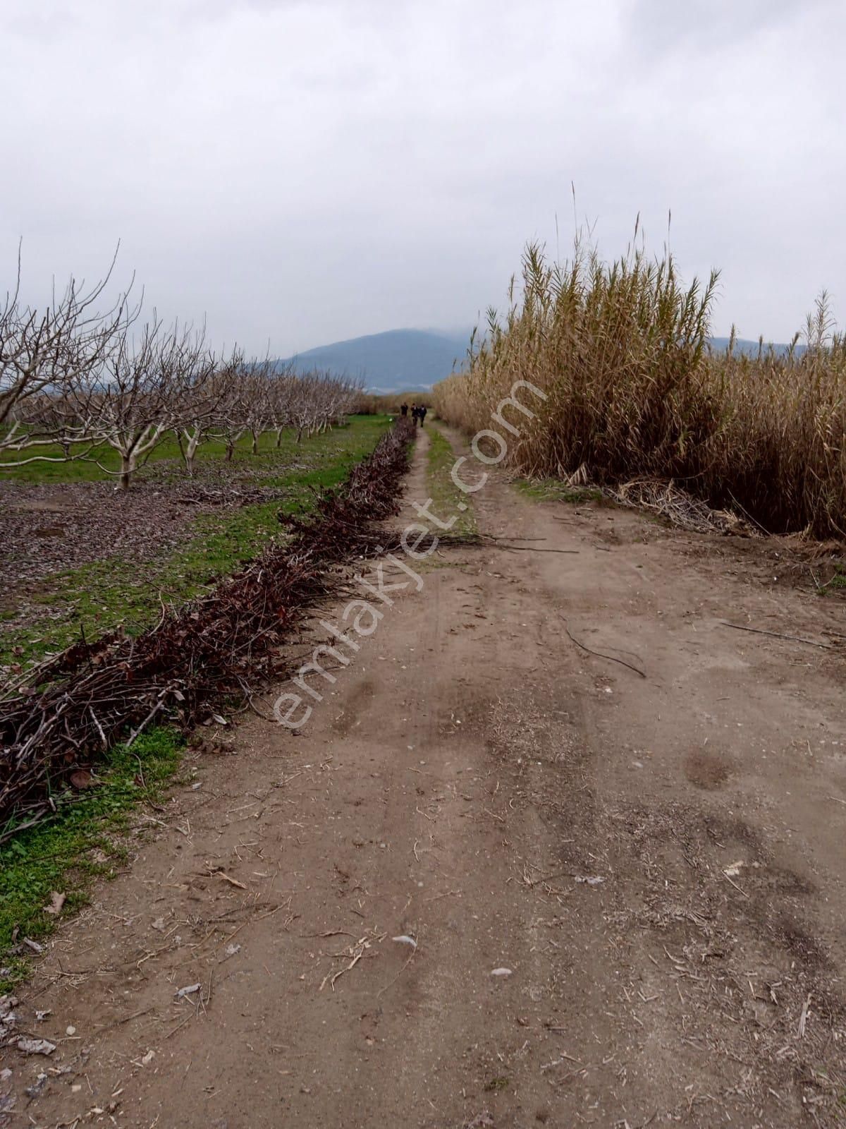 Sultanhisar Atçada Satılık - Görsel 16