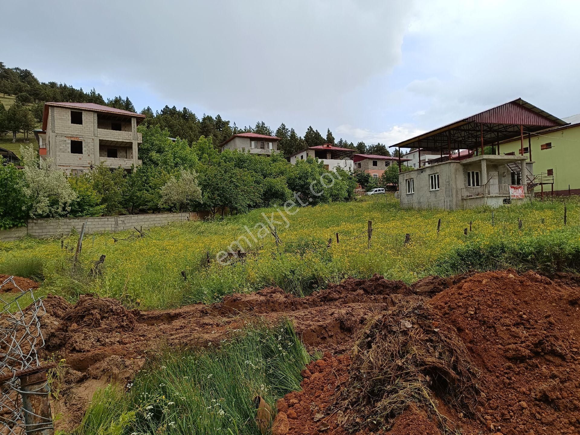 Tarsus Gülek Satılık Arazi Tapulu Süper Arsa Muhtesem Doğa