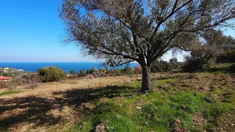 Karaburun İnecik Kaynarpınar'da Muhteşem Deniz Manzaralı Arsa - Görsel 5