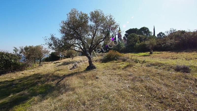 Karaburun İnecik Kaynarpınar'da Muhteşem Deniz Manzaralı Arsa - Görsel 15