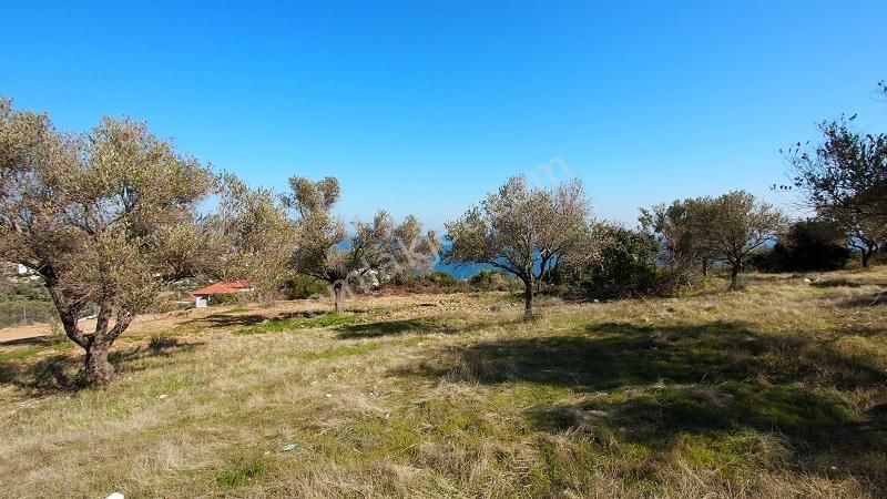 Karaburun İnecik Kaynarpınar'da Muhteşem Deniz Manzaralı Arsa - Görsel 4