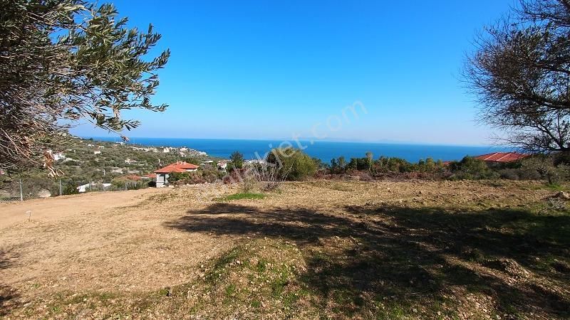 Karaburun İnecik Kaynarpınar'da Muhteşem Deniz Manzaralı Arsa - Görsel 3