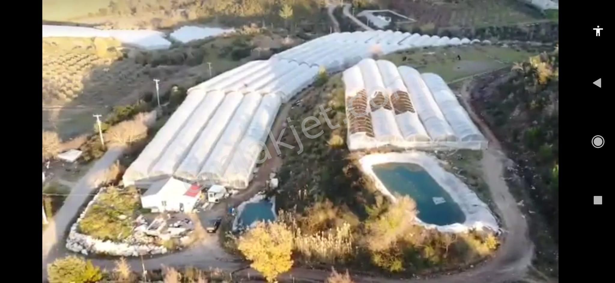 Arkadaş İnşaat Emlaktan Kumluca Merkez Yakın Satılık Müstakil Sera - Görsel 8