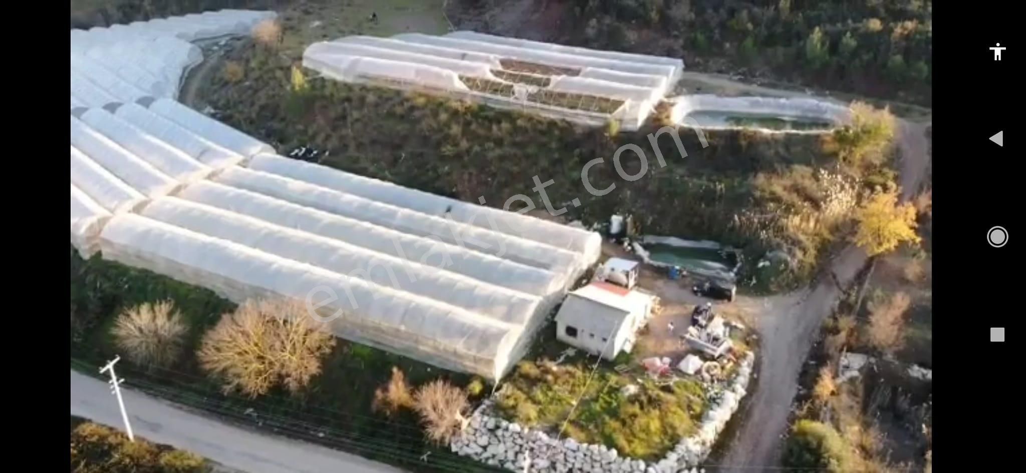 Arkadaş İnşaat Emlaktan Kumluca Merkez Yakın Satılık Müstakil Sera - Görsel 6