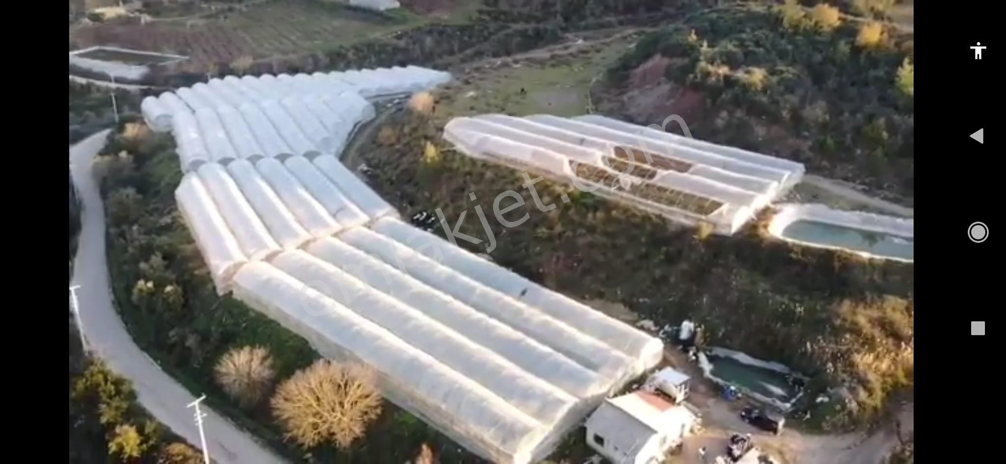 Arkadaş İnşaat Emlaktan Kumluca Merkez Yakın Satılık Müstakil Sera - Görsel 2