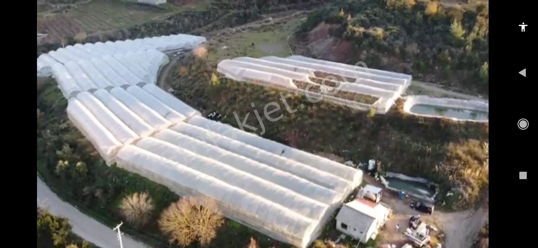 Arkadaş İnşaat Emlaktan Kumluca Merkez Yakın Satılık Müstakil Sera - Görsel 4