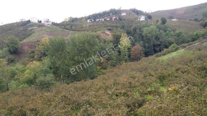 Akçaabat Derecik Satılık Villa İmarlı Trabzon Akçaabat Derecik Mahallesınde Satılık Arsalar Yıldız Emlakdan