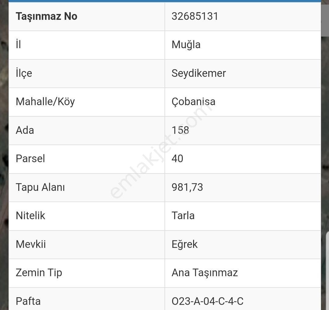 Seydikemer Yayla Çobanisada Doğa İçinde Yatırımlık 981m2 Tarla - Görsel 3