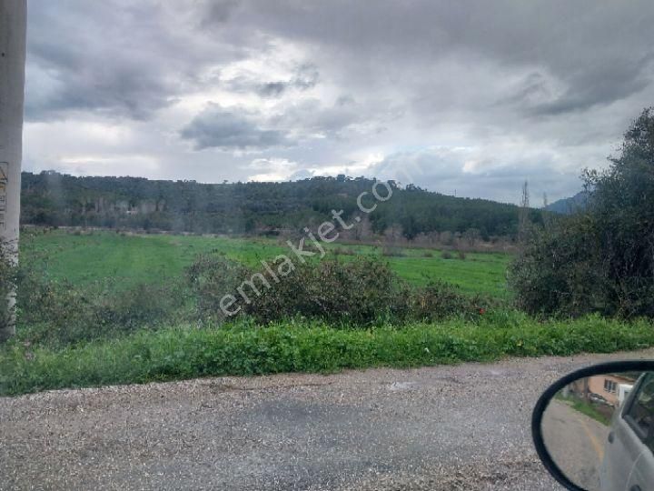 çetin başaran