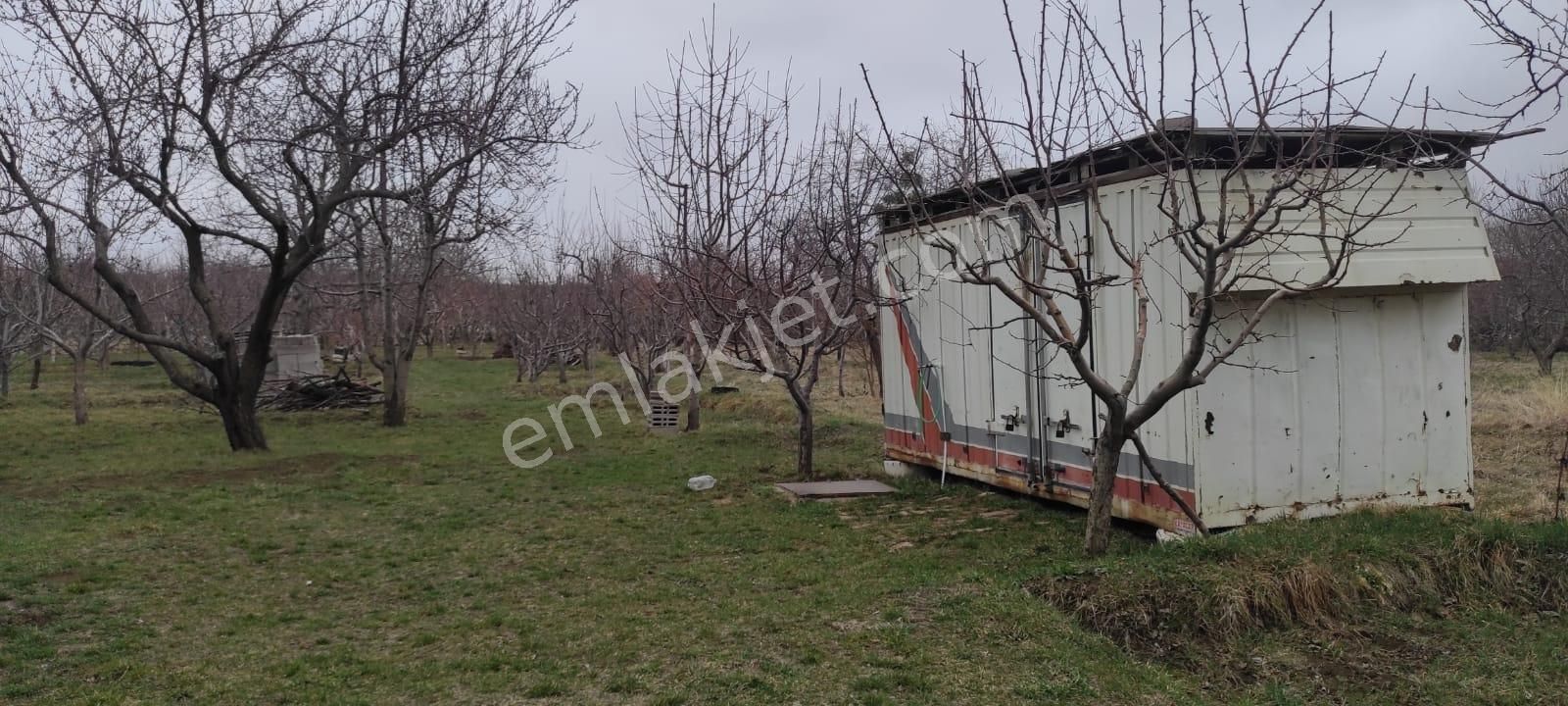 Niğde Merkez Gümüşler Bld. (Eski Gümüş) Satılık Bağ & Bahçe  Kupon Satılık Bahçe