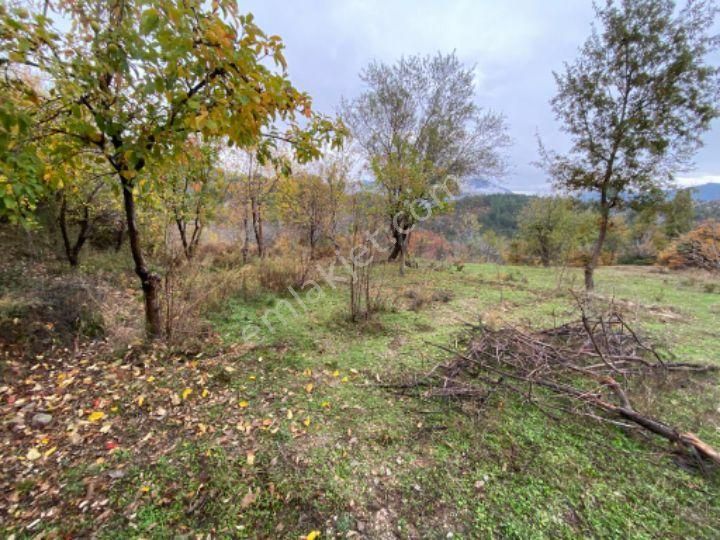 Özdemir Gayrimenkulden 300 M2 Hobi Bahçesi Yer - Görsel 12