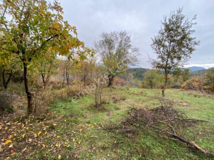 Özdemir Gayrimenkulden 300 M2 Hobi Bahçesi Yer - Görsel 5