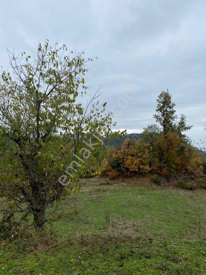 Özdemir Gayrimenkulden 300 M2 Hobi Bahçesi Yer - Görsel 8